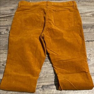 Corduroy like pants